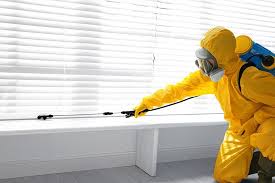 Best Indoor Pest Control  in Mineola, NY